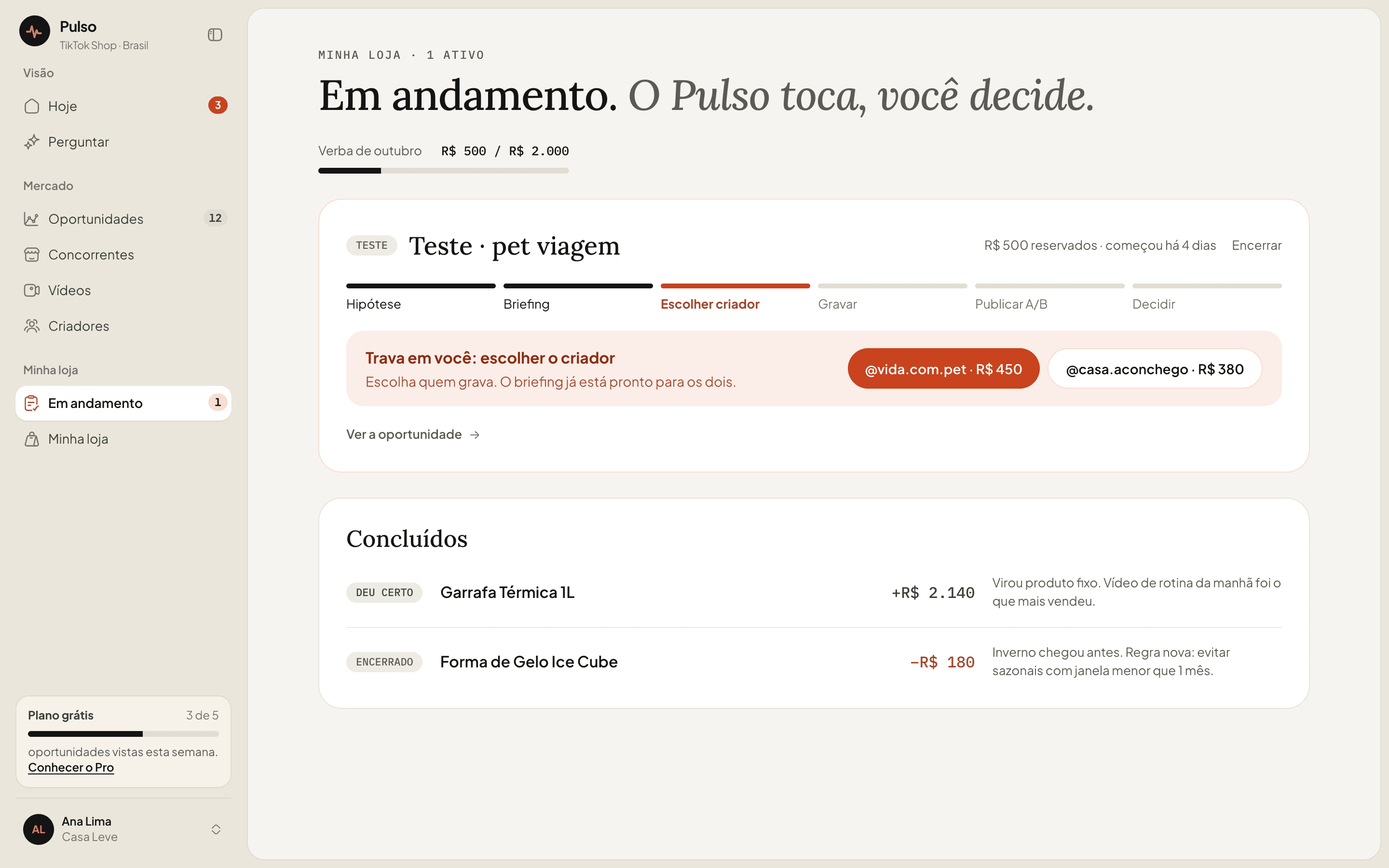 Tela Em andamento com o teste de pet viagem esperando a escolha do criador